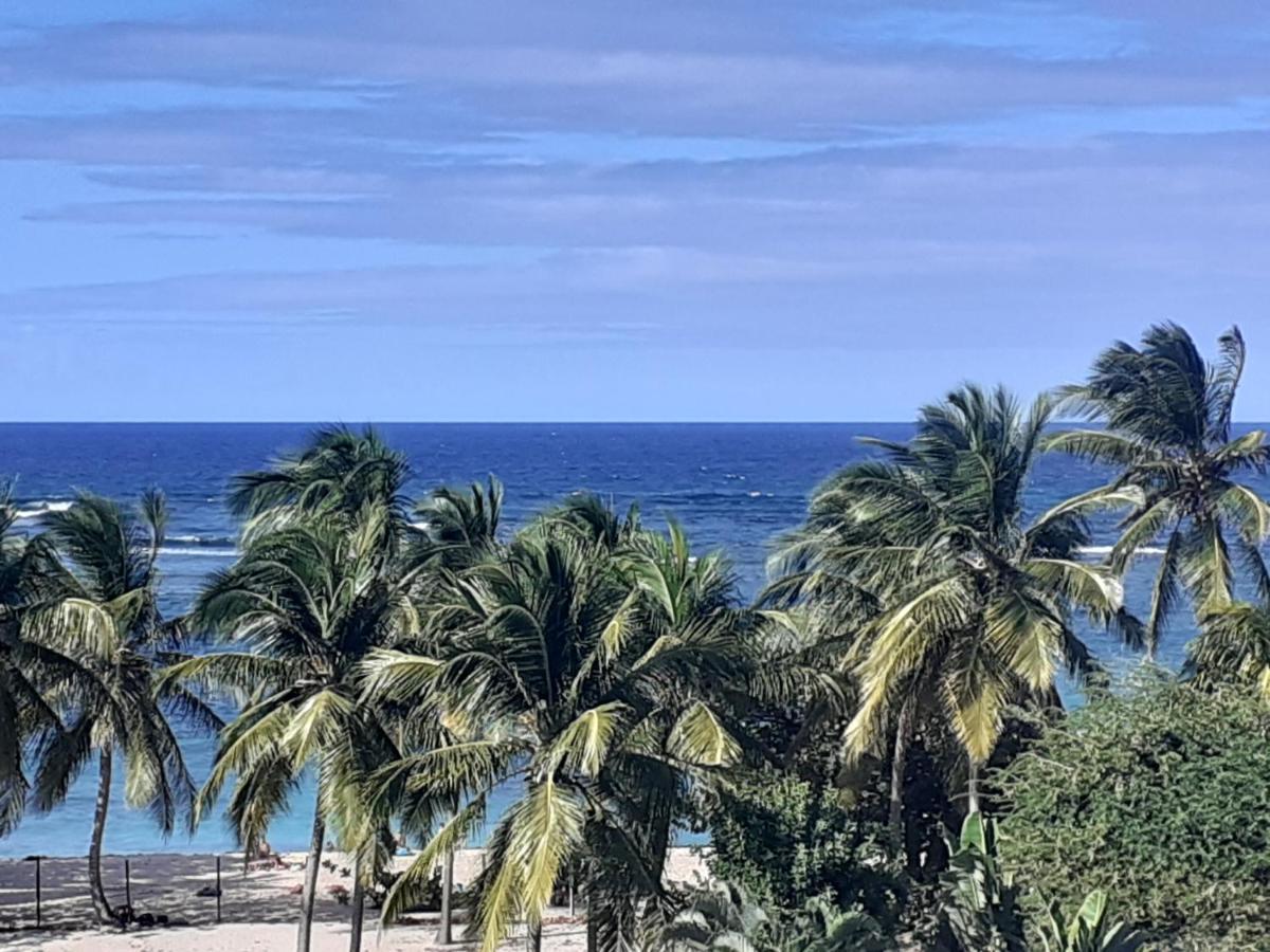 Studio Vue Sur Mer 勒穆莱 外观 照片